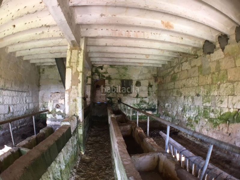 Foto a0739df6-0cc2-49ae-93db-ed73c0af5f96. Haus in Son Bou-Sant Jaume Alaior