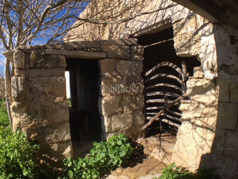 Foto a4b995c0-77e8-48c3-9c55-b2b4d62fddff. Haus in Son Bou-Sant Jaume Alaior
