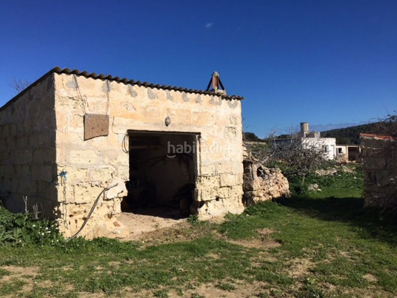 Foto cbe0f6db-c229-4f37-945d-767857f6df91. Haus in Son Bou-Sant Jaume Alaior
