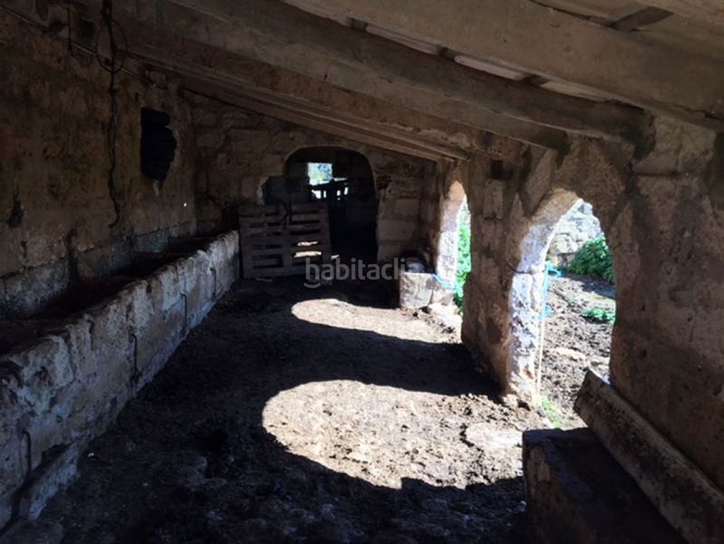 Foto cc9efa12-4e51-4043-baf9-4259b529a9fd. Haus in Son Bou-Sant Jaume Alaior