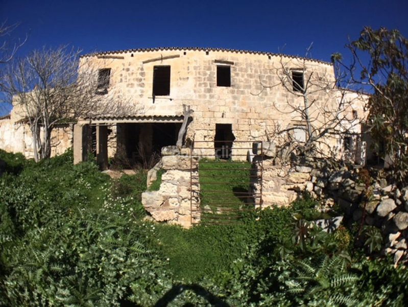 Foto dfee1f18-d3a2-4392-9b61-d924360625d5. Haus in Son Bou-Sant Jaume Alaior