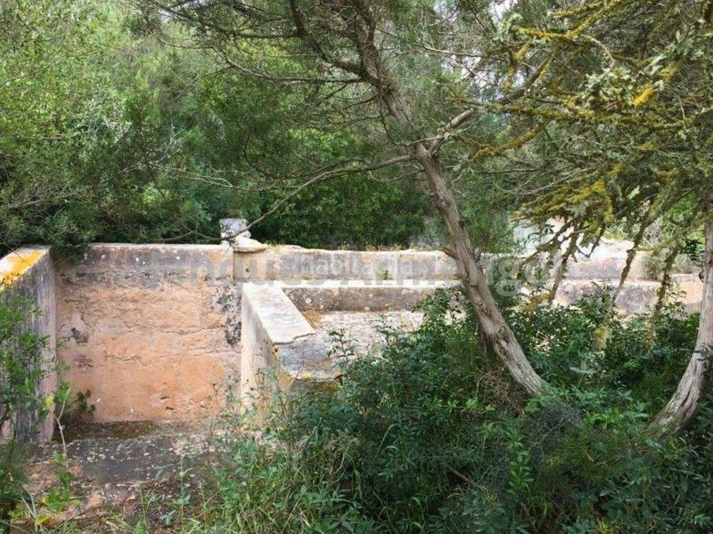 Foto 51c5d7cd-46c3-4c43-95fd-987684c05daf. Casa amb aparcament a Ciutadella Ciutadella de Menorca