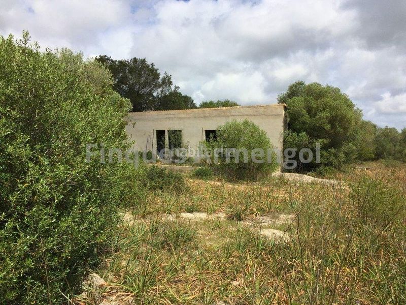 Foto 5ad15478-51e5-4905-86cb-6a39e16802a1. Casa amb aparcament a Ciutadella Ciutadella de Menorca