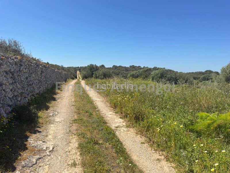 Foto 9242a20f-104c-4ba0-ab49-58b6676a911f. Casa amb aparcament a Ciutadella Ciutadella de Menorca