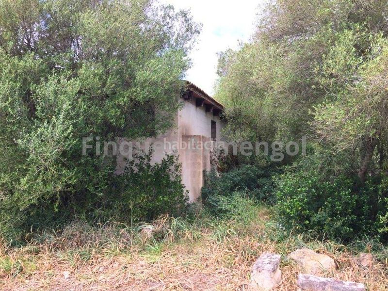 Foto 98e68e32-5675-4270-a47a-d0d14f6b2e0b. Casa amb aparcament a Ciutadella Ciutadella de Menorca