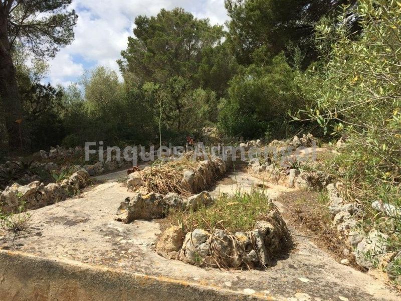 Foto 9d2f9913-3026-4a3b-bf7a-2c31df3dc129. Casa amb aparcament a Ciutadella Ciutadella de Menorca