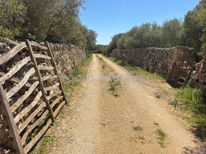 Foto eec6ef1e-37c5-40f6-9df2-de767a2868a3. Casa amb aparcament a Ciutadella Ciutadella de Menorca