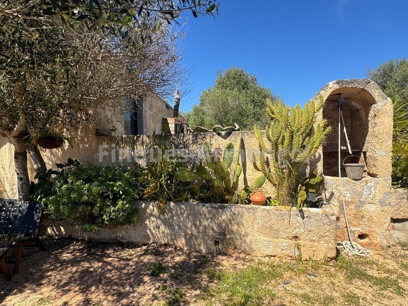 Foto f26fa916-b51b-4d55-85df-b311a4552eff. Casa amb aparcament a Ciutadella Ciutadella de Menorca