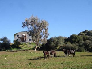 Haus in Alaior Poble. Casa de campo en  alaior  m7117