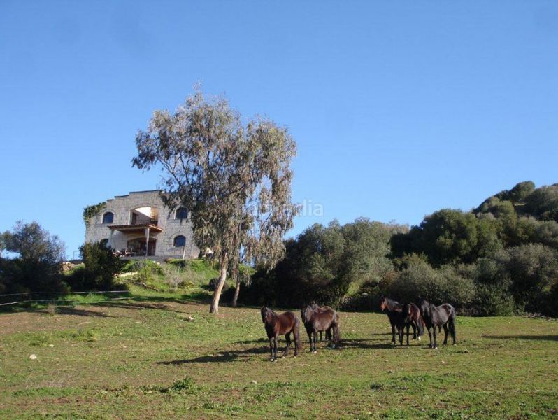Foto 03b7f2a9-f9c9-43db-8b5d-49c18e3153e6. Casa amb calefacció aparcament a Alaior poble Alaior