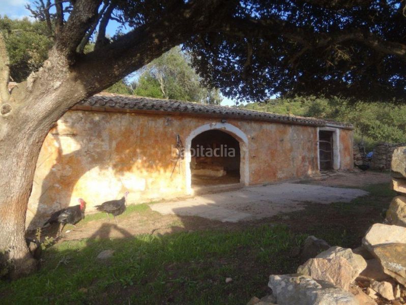 Foto 50dc62b0-3d92-4f50-b19c-a1dfb843351a. Casa amb calefacció aparcament a Alaior poble Alaior