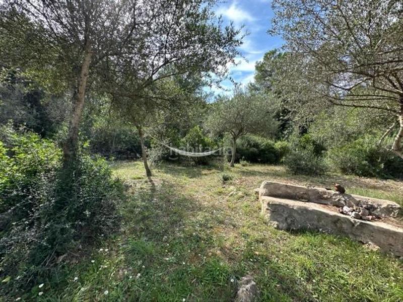 Foto 22eb5a26-78ce-4280-b663-1ed221abf20d. Casa con riscaldamento parcheggio piscina in Es Mercadal poble Es Mercadal