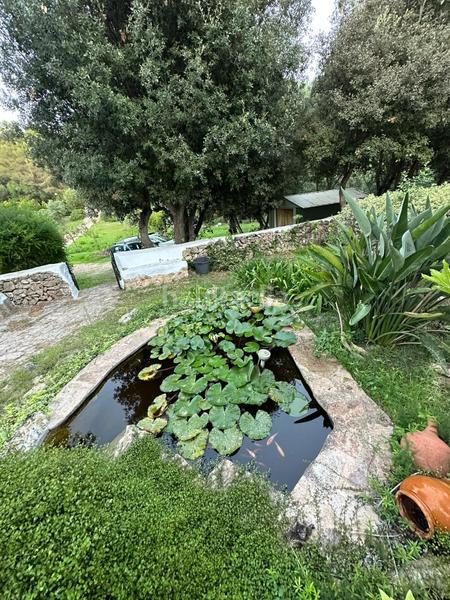 Foto 5e0b55fb-131c-47c0-a04b-380d9eb93c67. Casa con riscaldamento parcheggio piscina in Es Mercadal poble Es Mercadal