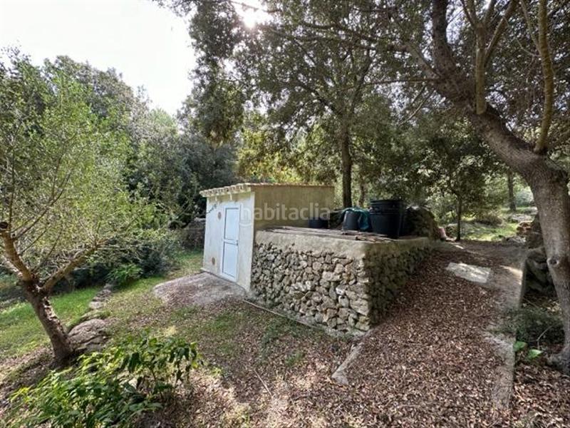 Foto 8e2d97fa-a919-4973-8659-74a264b01cb2. Casa con riscaldamento parcheggio piscina in Es Mercadal poble Es Mercadal