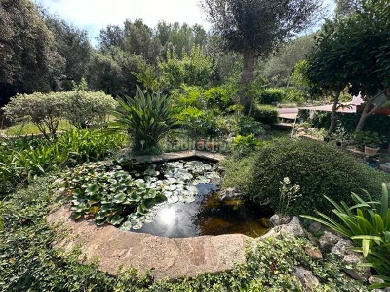 Foto d8c68885-ff9e-4102-bc14-ba4fde6fb9fd. Casa con riscaldamento parcheggio piscina in Es Mercadal poble Es Mercadal