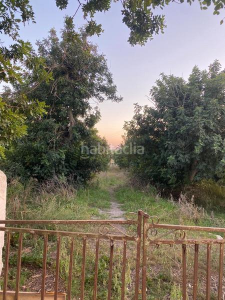 Foto db672755-2b0d-468d-afd5-c172a9da0237. Casa amb piscina a Es Grau-Serra Morena Maó / Mahón