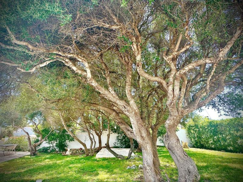 Foto ddcb0c73-a12e-4cec-bd88-2213217c2dd5. Chalet m6567 chalet en son vilar con licencia turística en Es Castell
