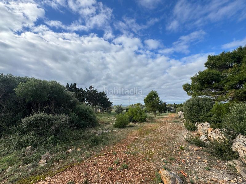 Foto 5b3b3744-1a18-4111-9b3b-81d5639d2729. Finca rústica a Cap d´en Font-Binissafúller Sant Lluís