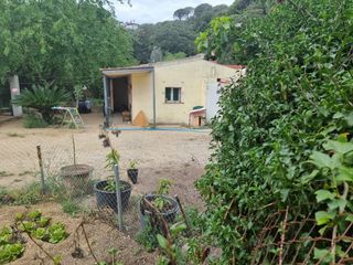 Haus  Avinguda can massuet. Casa por reformar, con terreno,  ideal cultivo