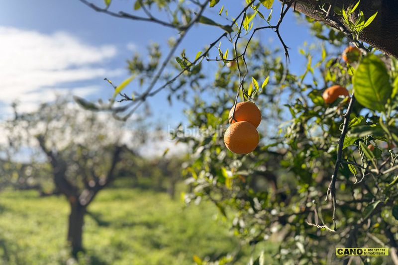 Foto 1b1193c4-1f06-4760-88b3-9021ebbb7859. Casa a Gádor