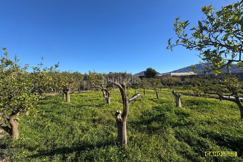 Foto 1dbd3939-8457-4e3b-ad62-9080f7de4b3b. Casa a Gádor