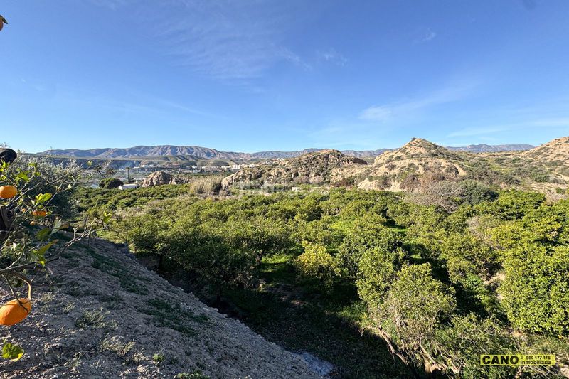 Foto 9c42a375-cf97-4fe8-bc0c-76329d808376. Casa a Gádor