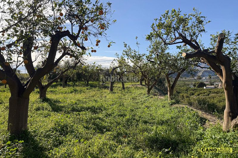 Foto a380b574-b5d6-46cd-b9c6-5273a0f821f8. Casa a Gádor