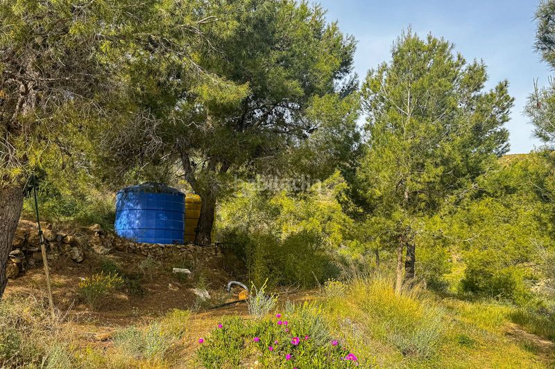 Foto 3a9ec979-b5b2-4d42-8221-c300d20724c1. Casa amb calefacció a Bédar