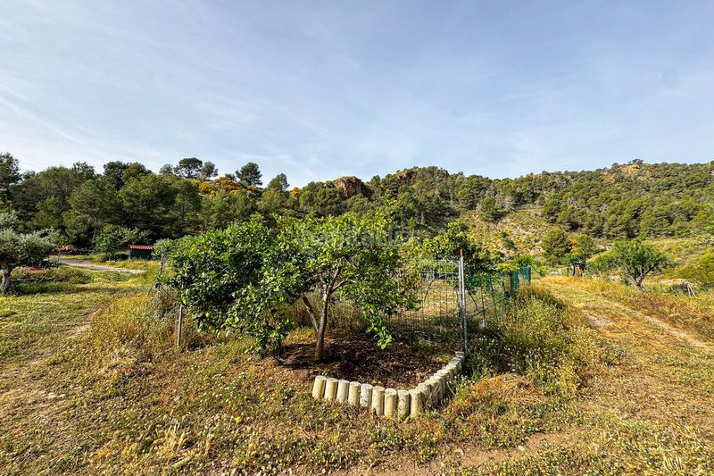 Foto f19c015d-6a70-41cf-9ef2-f5ed1598d4aa. Casa amb calefacció a Bédar