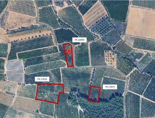 Propriété  Polígono 25. Gran oportunidad: fincas agrícola de más de 2 hectáreas en vilam