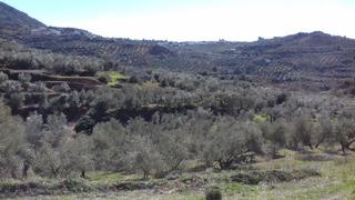 Landgut in Calle alamos 45