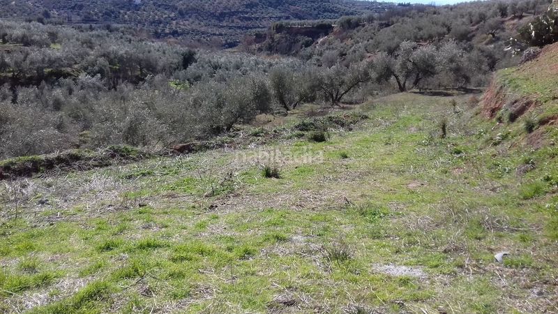 Foto 845a8fb4-b4f7-4769-9665-0a16e5950f8d. Finca rústica a calle alamos 45 a Cogollos de la Vega