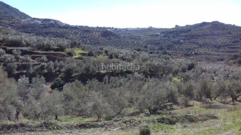 Foto e58df364-4a1b-4d75-8a88-e6ab5978ead4. Finca rústica a calle alamos 45 a Cogollos de la Vega