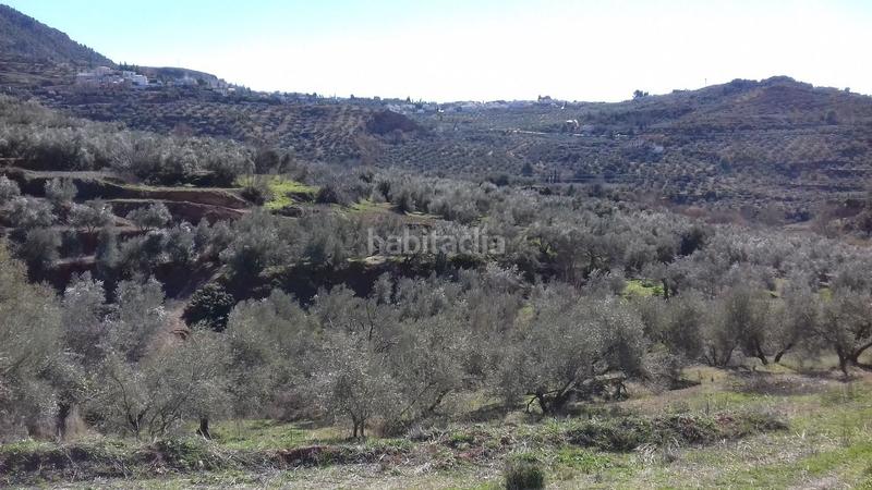 Foto e58df364-4a1b-4d75-8a88-e6ab5978ead4. Finca rústica en calle alamos 45 en Cogollos de la Vega