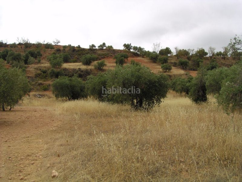 Foto d2b5da99-9003-4c16-84e9-b4482fdf8f1e. Finca rústica a Cogollos de la Vega