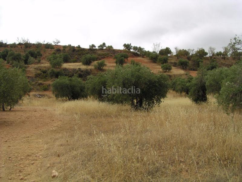 Foto d2b5da99-9003-4c16-84e9-b4482fdf8f1e. Finca rústica en Cogollos de la Vega