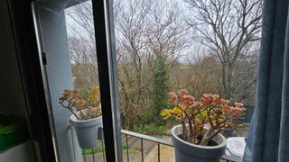 Reihenhaus in Sant Jaume dels Domenys. Adosada a precio de piso  oportunidad!!!