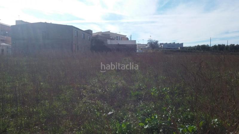 Foto 8d068164-d563-4a55-826c-c19d63700432. Terreny residencial a Sant Mateu