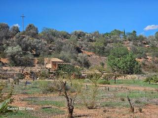 Mas  Partida. Finca rúst. en venta en sant joan de moro.