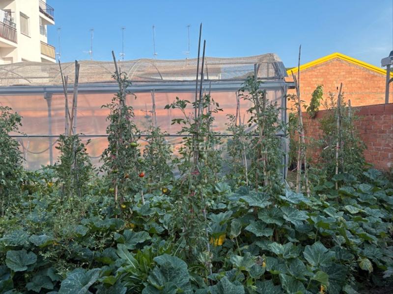 Foto 66ab9e40-c543-42f9-83ea-859464c29bb1. Terrain résidentiel dans Sant Celoni