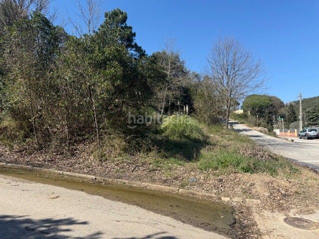 Foto ca6a3e59-476b-4961-8250-2a2e5e10d839. Finca rústica a Riells i Viabrea