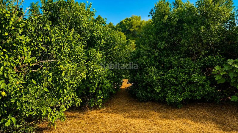 Foto f175d23d-05da-4cb7-b63e-47e51b63a4bc. Wohngrundstück in La Banda - Campo de Fútbol Chiclana de la Frontera