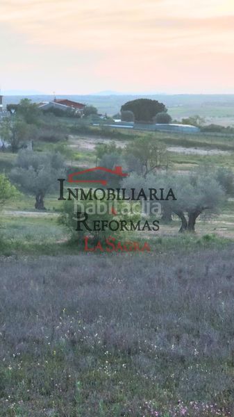 Foto 446bb1ca-f753-4bac-92c9-7f15523868ee. Affitto fondo rustico in Carranque