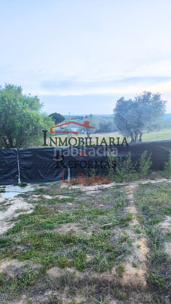 Foto 14c35b85-b68b-46f4-810d-e024d0b3378e. Alquiler finca rústica parcela de 6.500 m² con casa prefabricada –venta y/o alquiler con opción a compra en Carranque