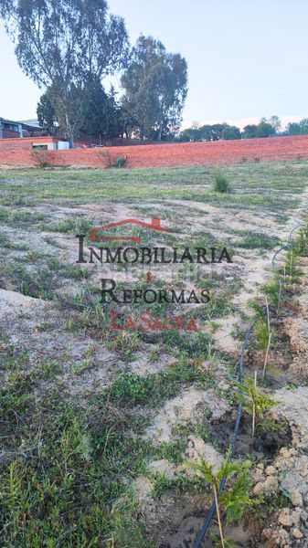 Foto 821d2cf6-4ebe-46cf-bcca-8df4dbdbc38a. Alquiler finca rústica parcela de 6.500 m² con casa prefabricada –venta y/o alquiler con opción a compra en Carranque