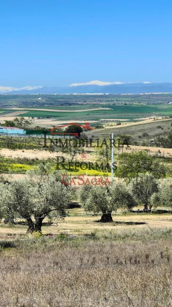 Foto 978862ed-3cfd-448a-92bc-286ae95ddeb1. Alquiler finca rústica parcela de 6.500 m² con casa prefabricada –venta y/o alquiler con opción a compra en Carranque