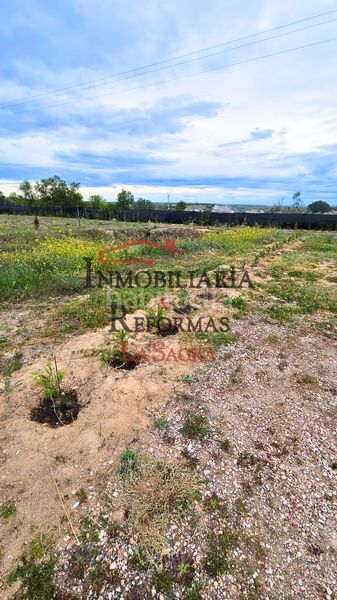 Foto df533f6a-d146-46da-9ac0-5c88e08cd680. Alquiler finca rústica parcela de 6.500 m² con casa prefabricada –venta y/o alquiler con opción a compra en Carranque
