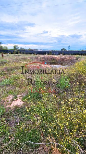 Foto 193bbaa7-d496-49b1-a203-599b6242d8e4. Finca rústica parcela de 6.500 m² con casa prefabricada –venta y/o alquiler con opción a compra en Illescas