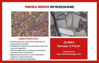 Finca rústica a Yeles. Parcela rústica en yeles (olivar)