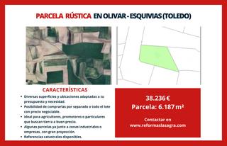 Finca rústica a Esquivias. Parcela rústica en olivar